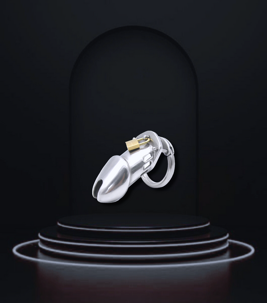 Best game Products 316L Stainless Steel Chastity Lock for Adults - Nikita Studio